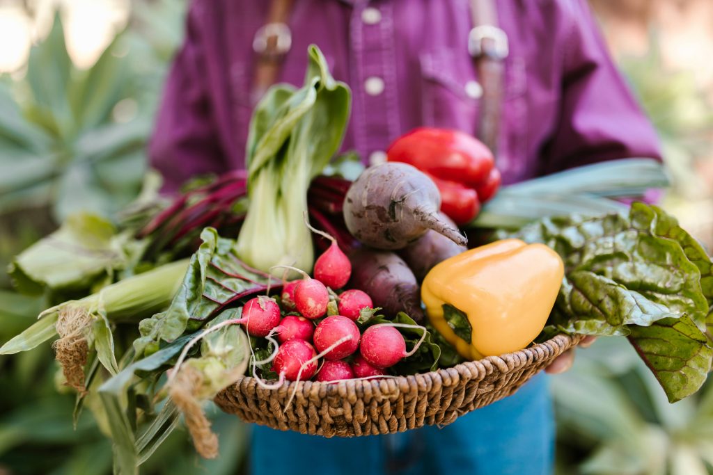 is market gardening profitable