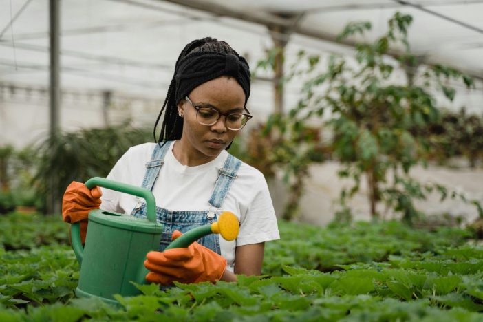 Woman watering the plants