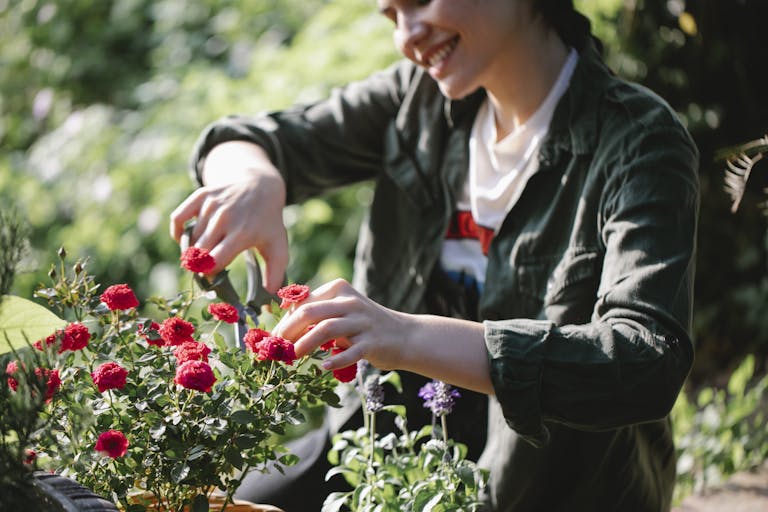 how profitable is cut-flower farming