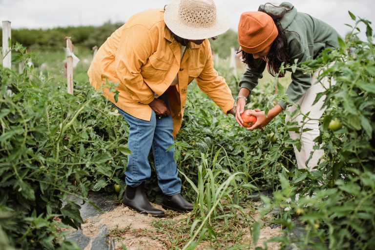 what are the methods of sustainable food production