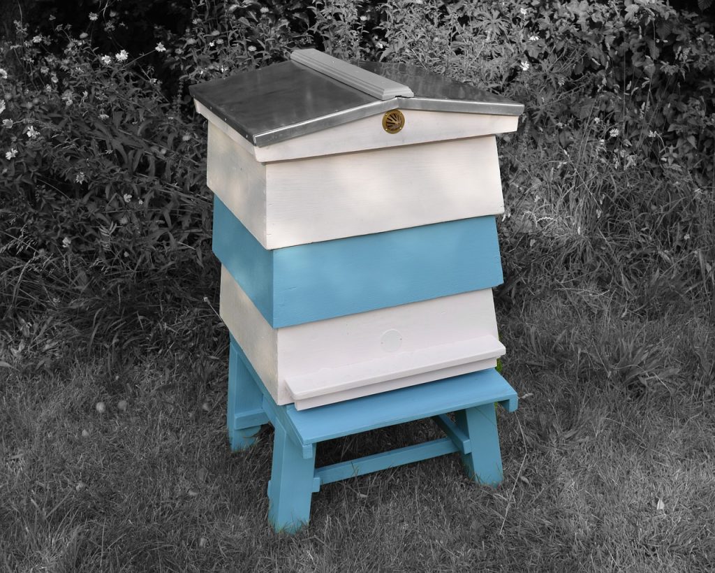 beehive, wbc, hive