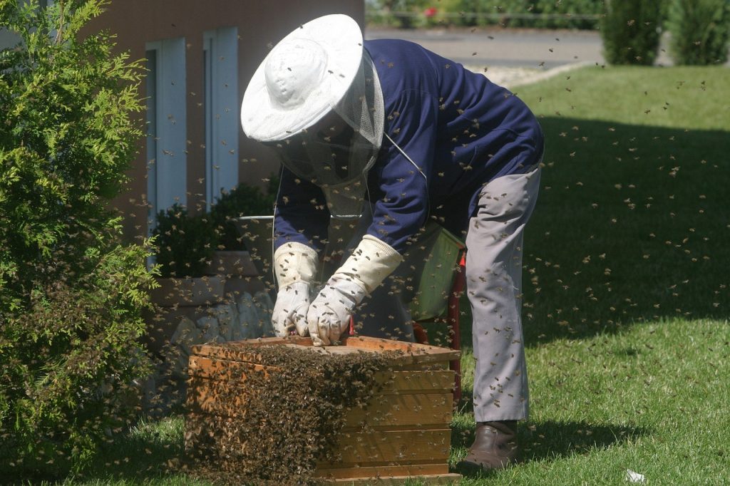 can beekeeping be ethical