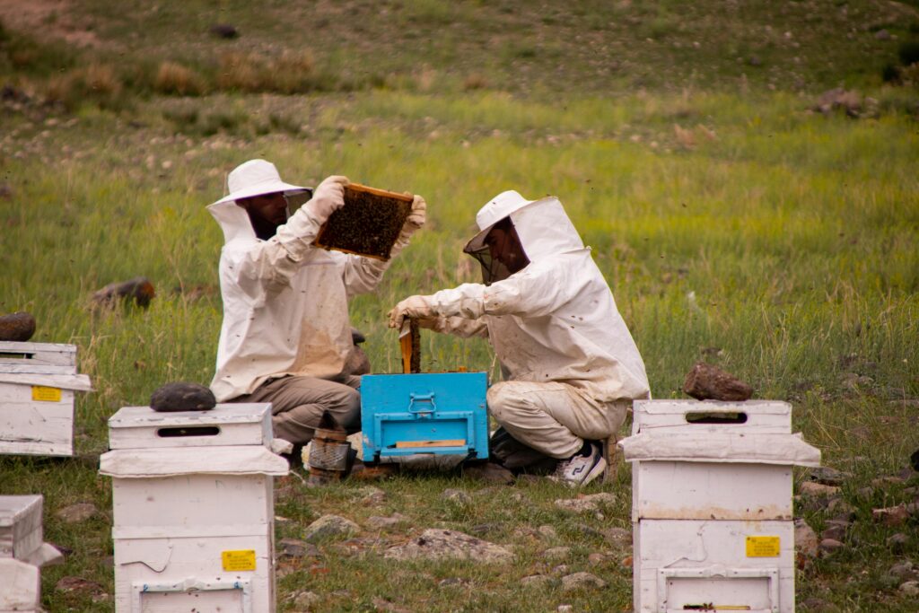 Beekeepers in protective clothes