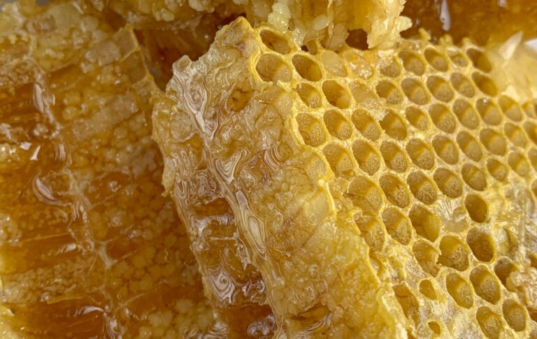 beeswax uses and processing