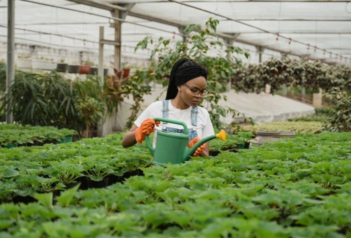 Black woman tending to plants in a greenhouse with a watering can.