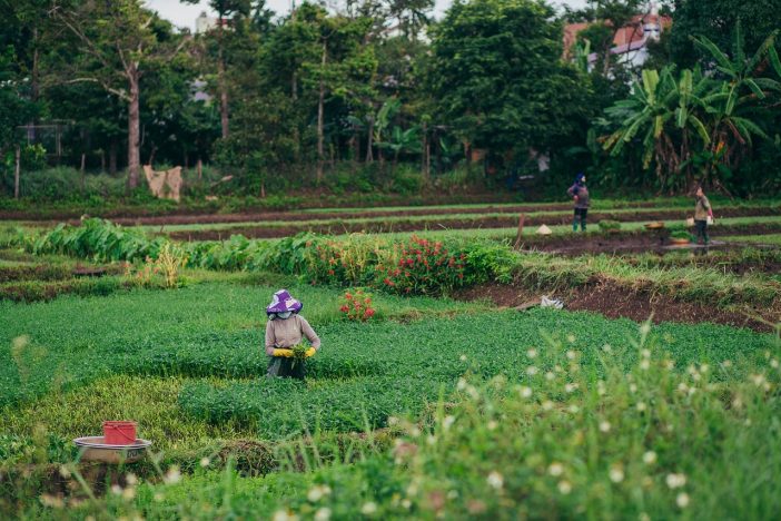 how hard is the life of a farmer