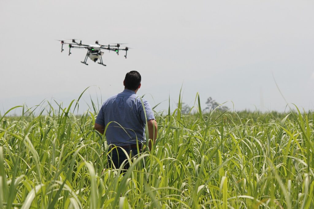 drone, precision agriculture, crops