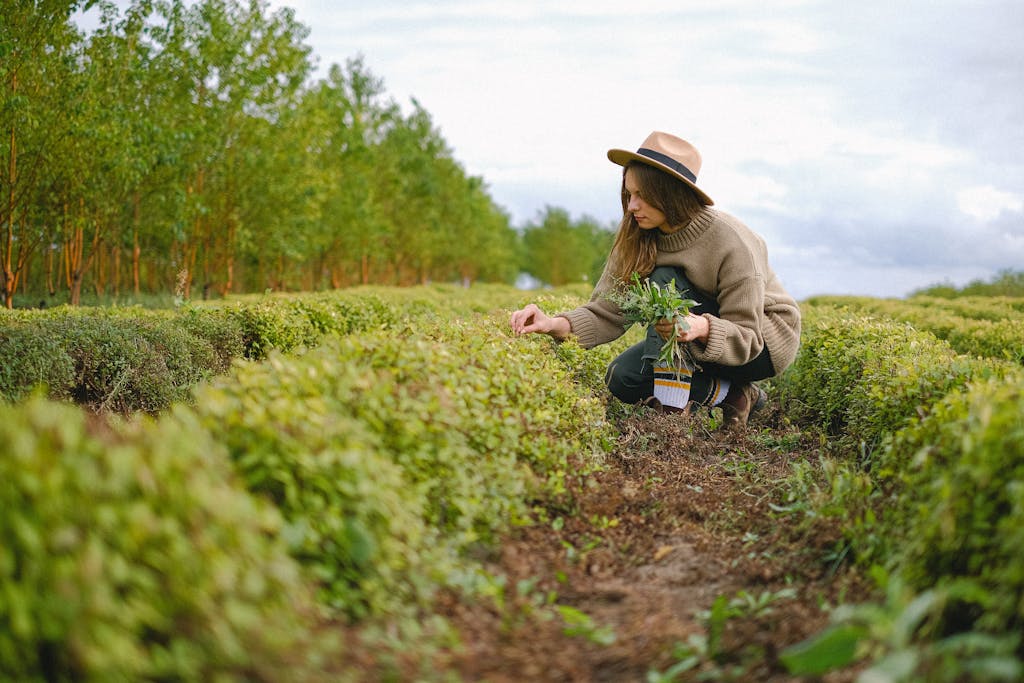 farm business optimization