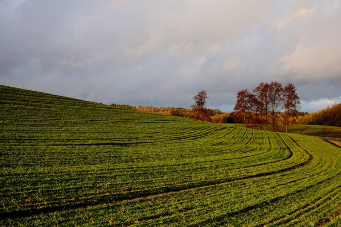 what is the minimum acreage for farm tax in georgia