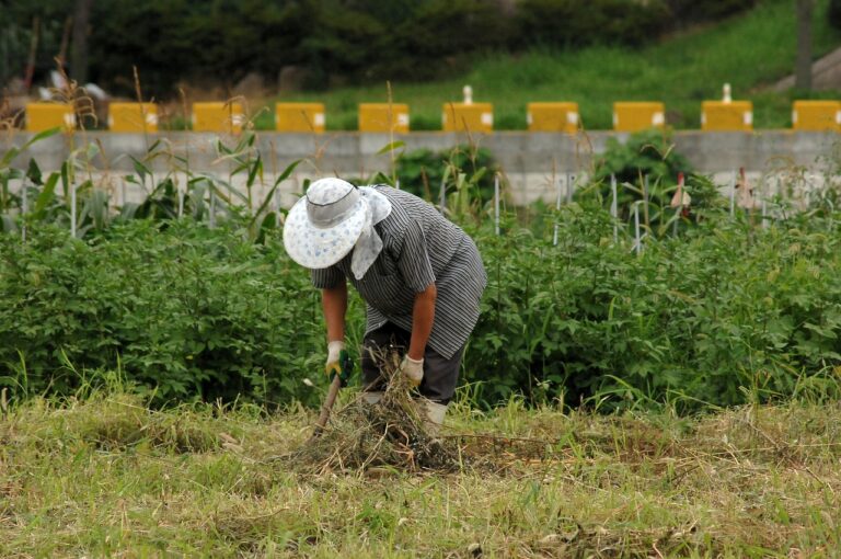 do small farmers make money