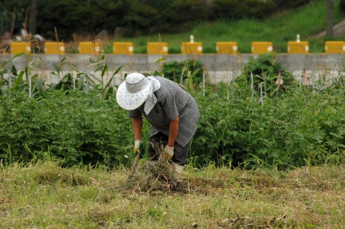 do small farmers make money