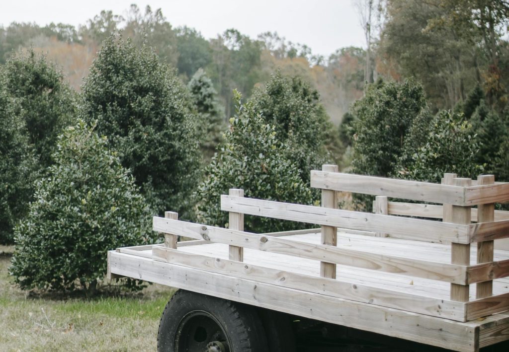 how profitable is christmas tree farming