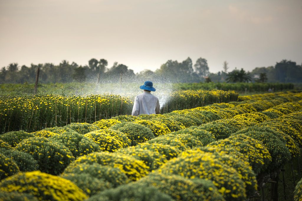 is flower farming sustainable