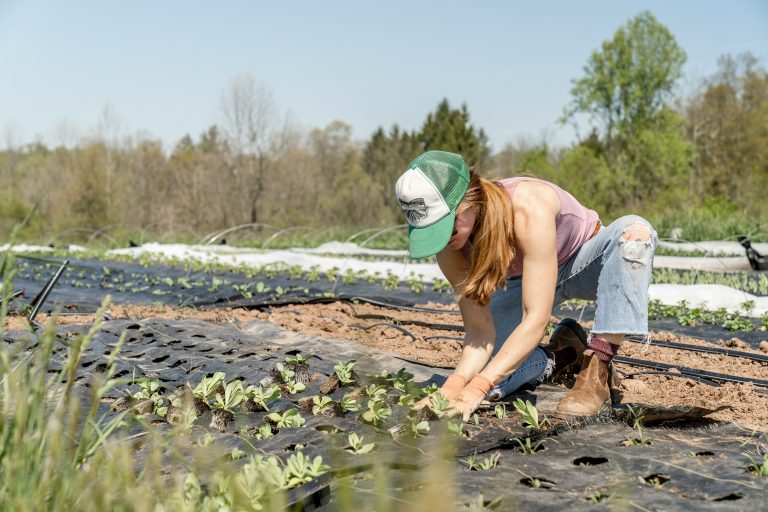 how do i become a small scale organic farmer