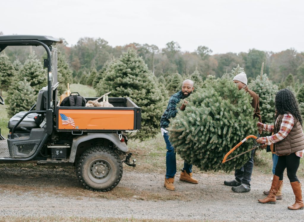 Unrecognizable black family carrying fir tree near atv on farm