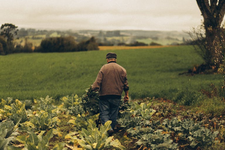 what are ethical farming practices