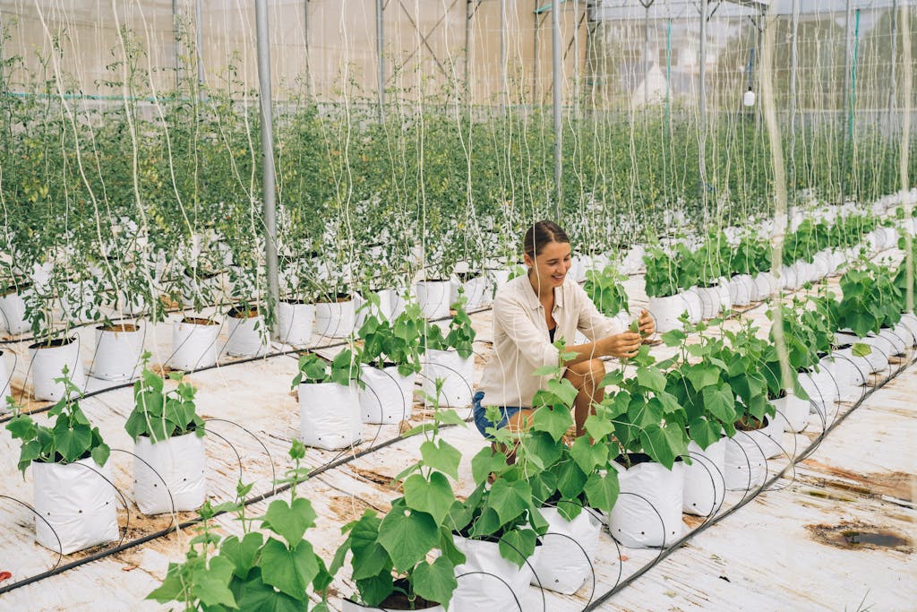 Woman tending plants in a modern indoor farm, focused on sustainable agriculture.