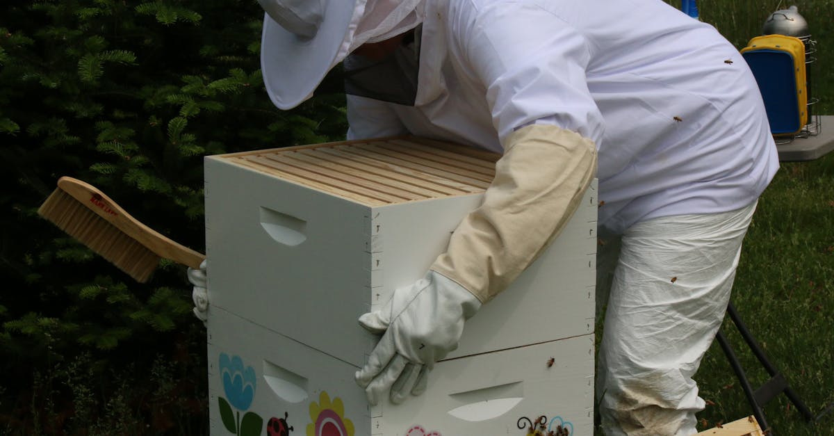 a beekeeper in protective gear tending to a beehive outdoors on a sunny day