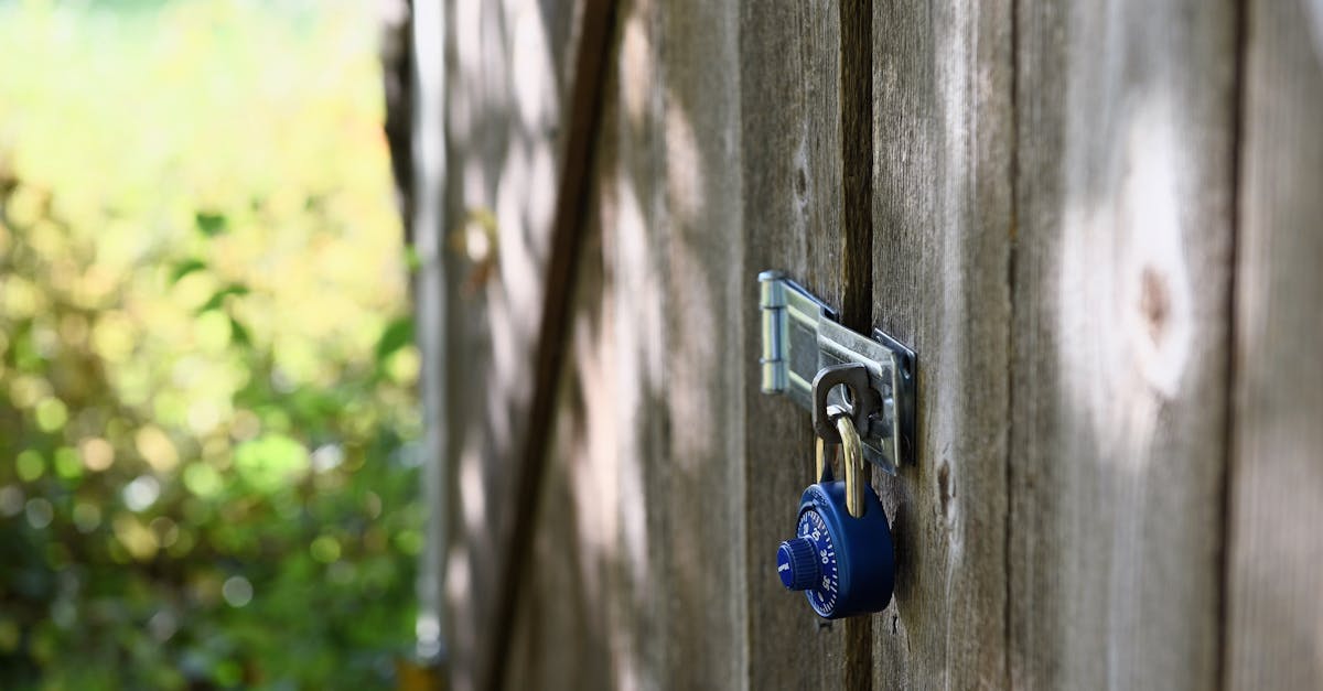 a blue padlock secures a wooden gate outdoors with sunlight filtering through