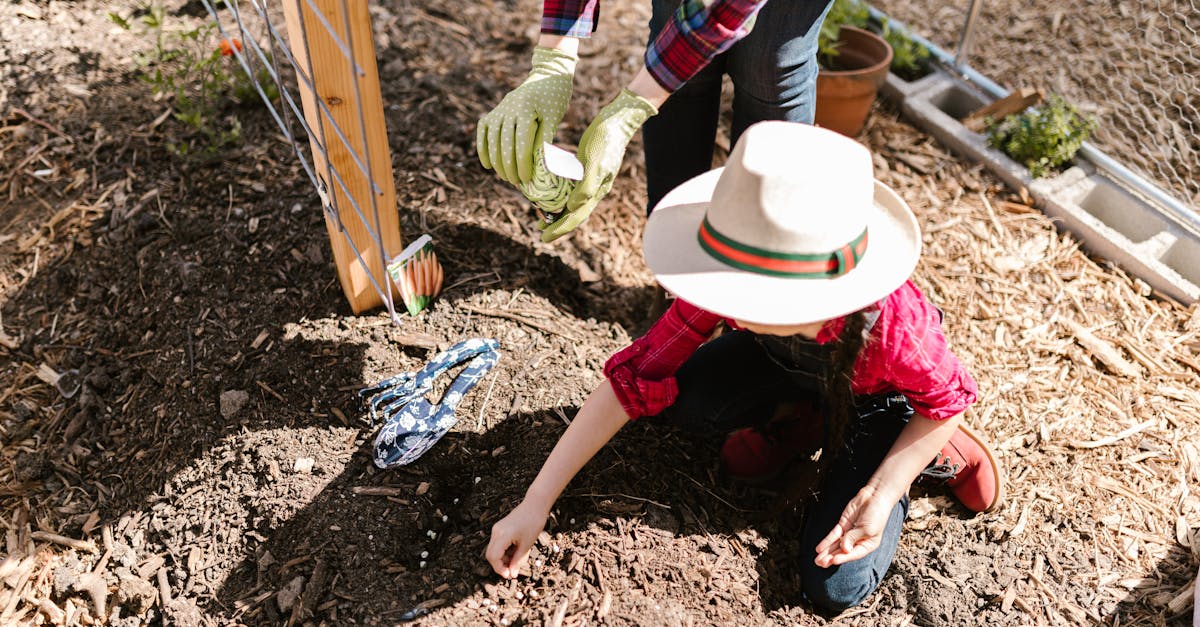 a child and adult working together in a sunlit garden planting seeds