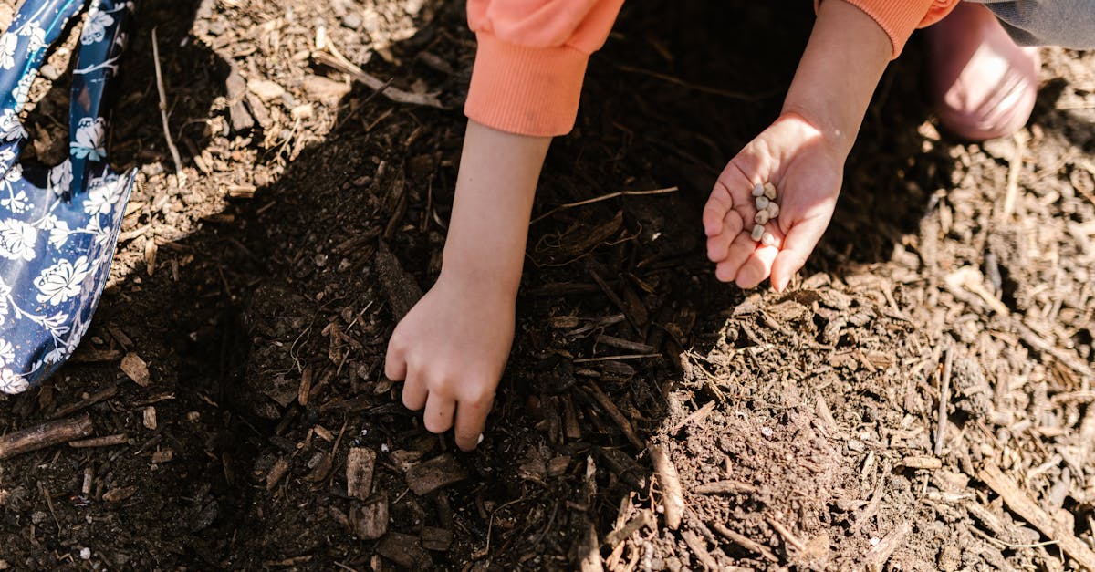 a child planting seeds in soil representing organic gardening and agriculture