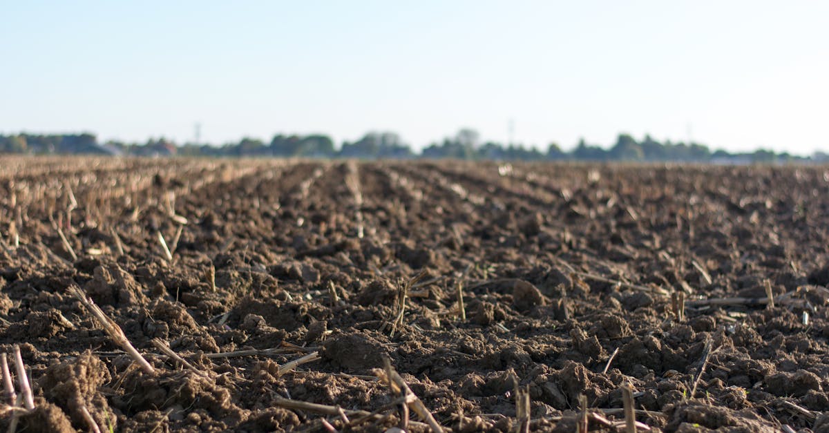 a close up image of a freshly plowed farmland in springtime ready for new crops