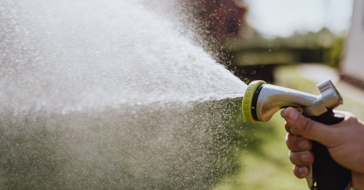 a close up of a hand spraying water with a hose in a garden setting perfect for gardening themes 1