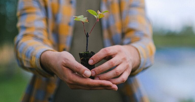 10 Best Soil Conservation Practices for Small Farms That Boost Resilience