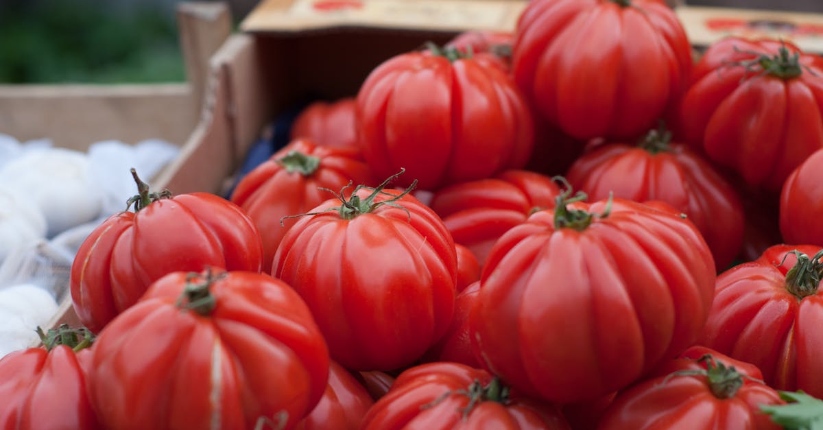 a close up of vibrant red heirloom tomatoes on display at a market stand