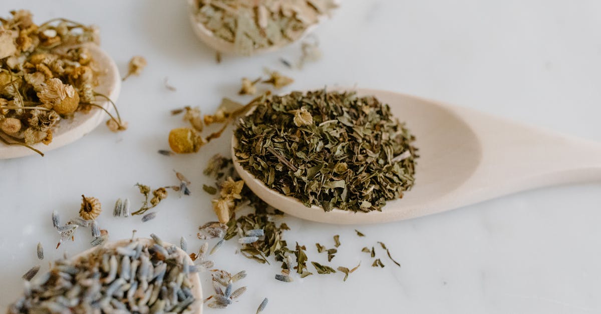 a collection of dried herbs on wooden spoons for natural remedies and alternative medicine