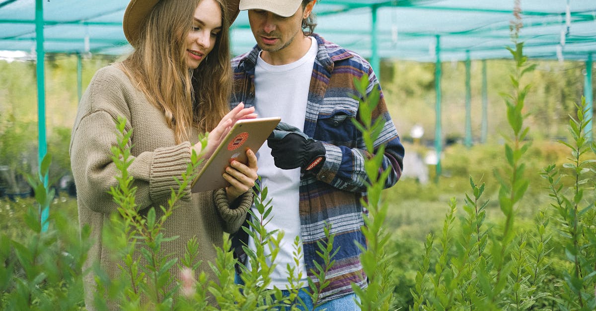 a couple explores plant information on a tablet in a greenhouse setting