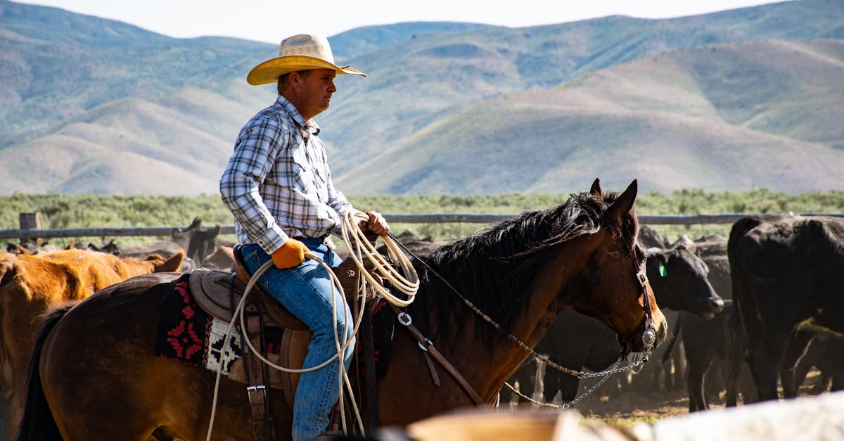 a cowboy wearing a hat rides a horse in a rural ranch setting with a herd of cattle