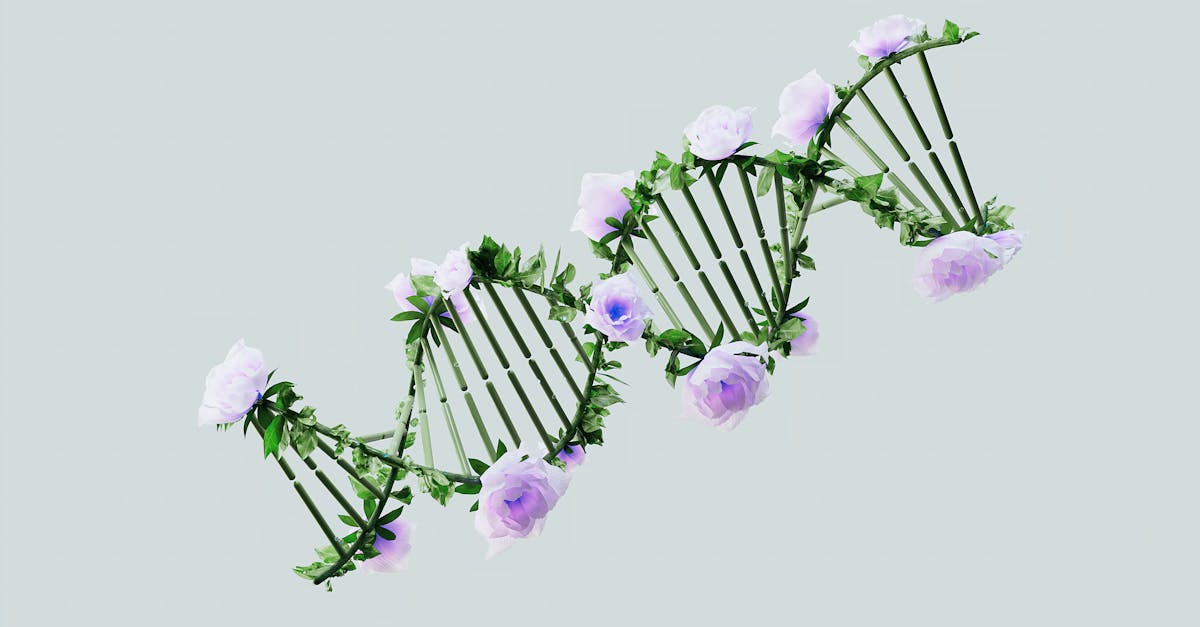 a creative representation of a dna helix with blooming pastel roses blending nature and science