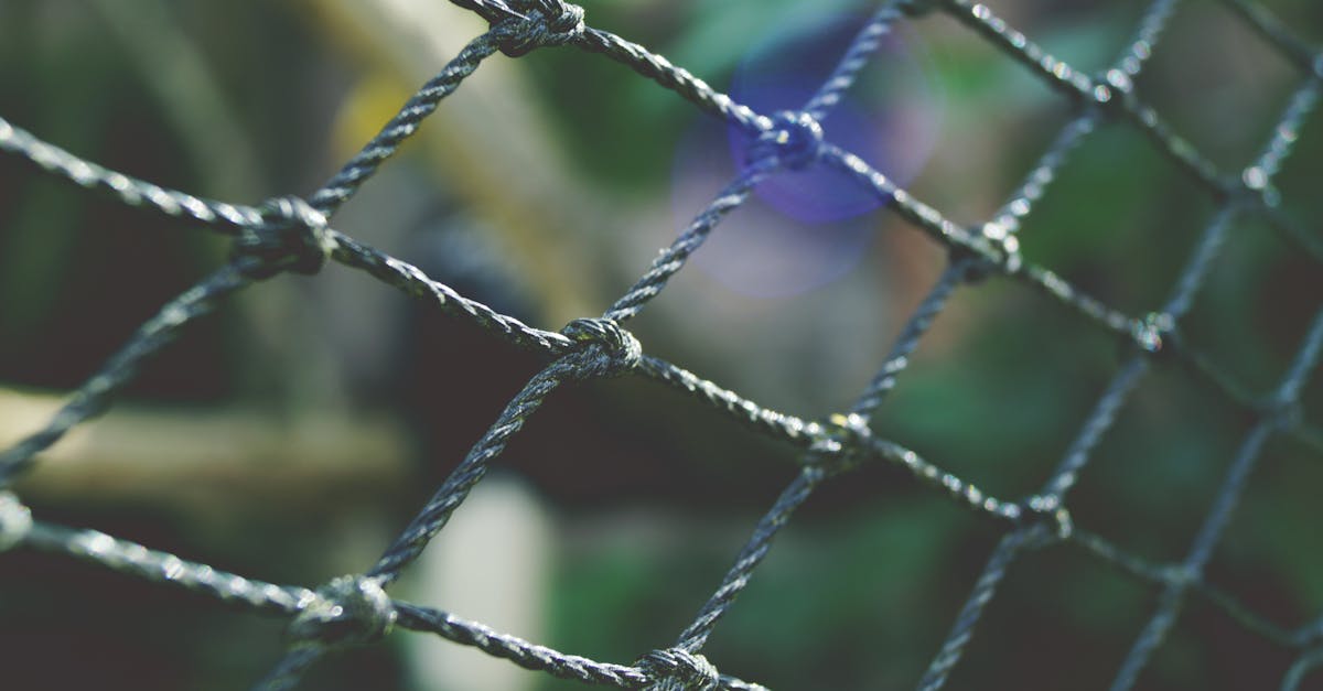 a detailed close up of a wire fence outdoors with artistic bokeh effect