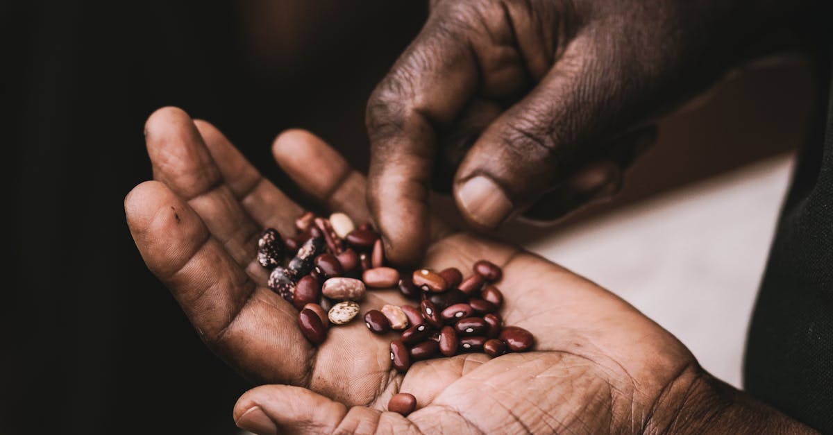 a detailed close up of hands holding a variety of colorful beans highlighting texture and diversity 1