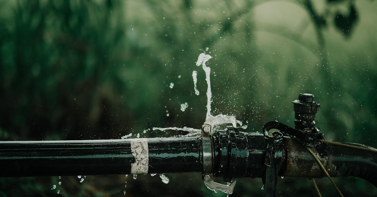 a detailed view of a leaking water pipe in a lush green garden setting