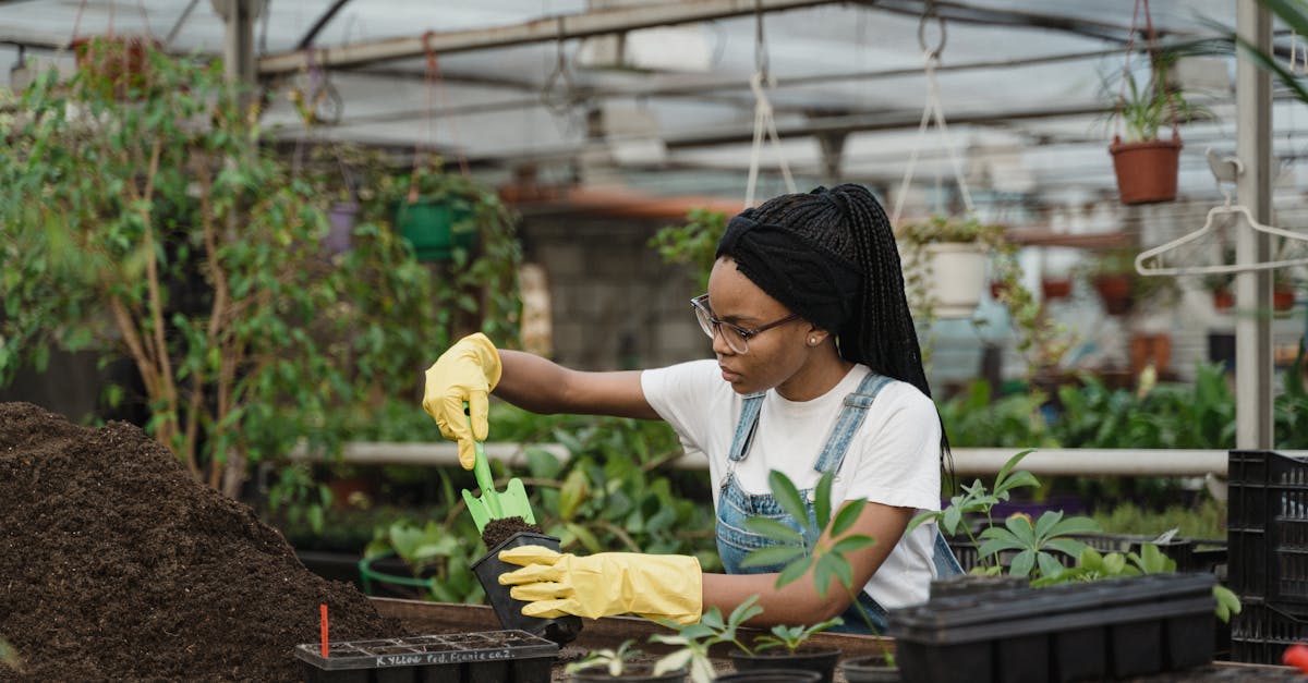 a focused gardener preparing plants in a greenhouse setting