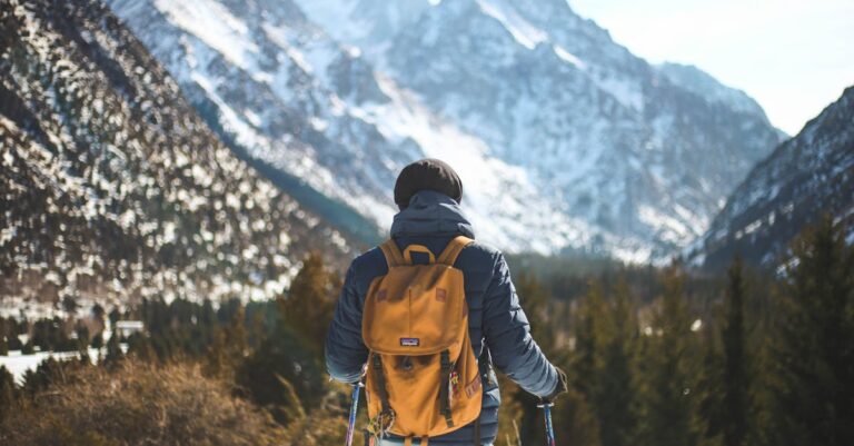 9 Essential Tips for Maintaining Beehive Health in Winter That Old-Timers Swear By