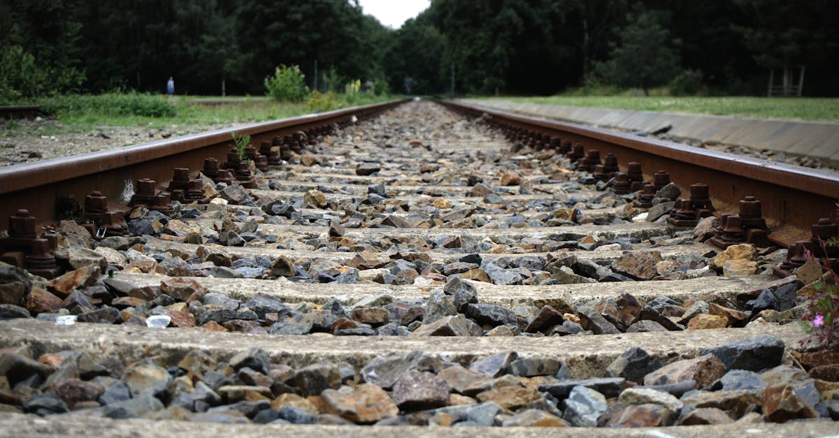 a low angle shot of railway tracks with gravel in a lush outdoor setting