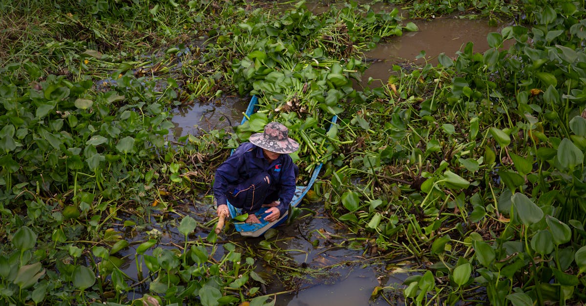 a man in a hat and jacket gathers aquatic plants from a small boat in water