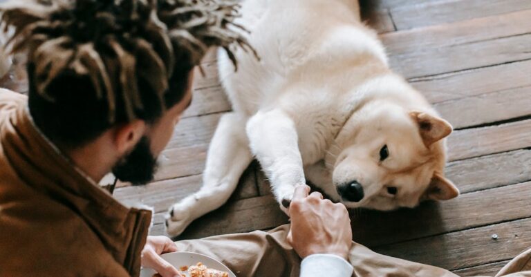 10 Best Animal Feed Bins for Easy Access That Simplify Feeding Routines