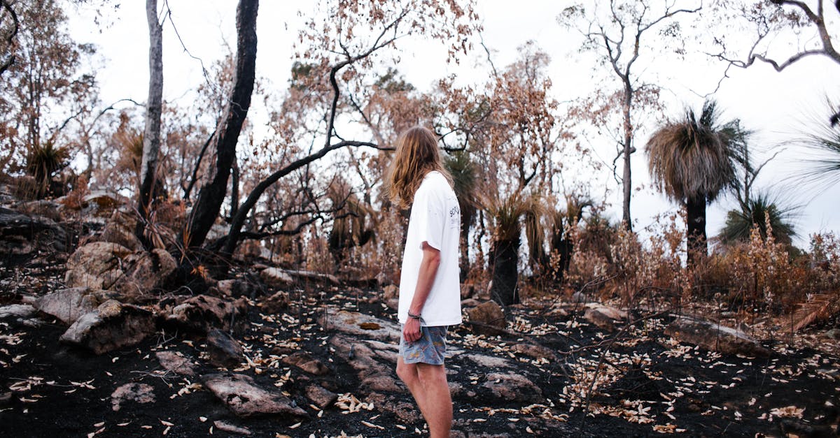 a man with long hair walks through a burned forest area showcasing natural recovery