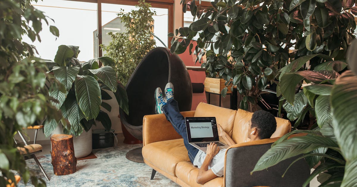 a man working on a marketing strategy laptop in a green cozy office setting