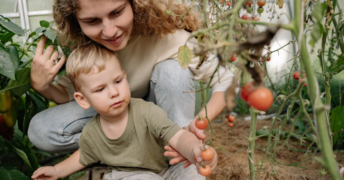 a mother and her young son picking ripe tomatoes together in a lush garden