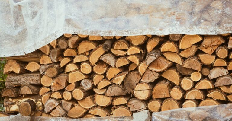 10 Best Firewood Processors for Homestead Heating That Support Self-Sufficiency