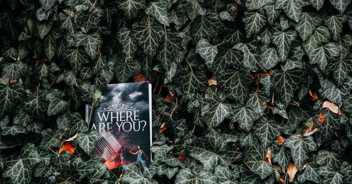 a novel titled where are you lies among dense ivy leaves in a garden setting