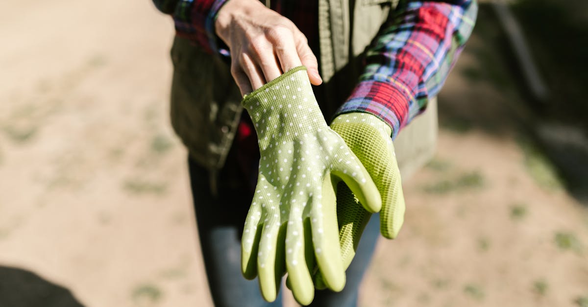 a person in casual attire putting on green polka dotted garden gloves under sunlight