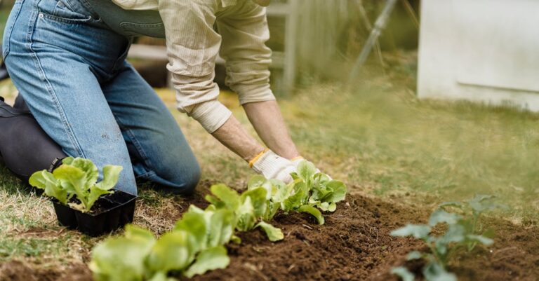 11 Container vs In-Ground Vegetable Growing Tips That Save Time and Space