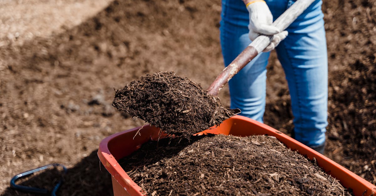 a person shovels compost into a red container preparing soil for gardening 1