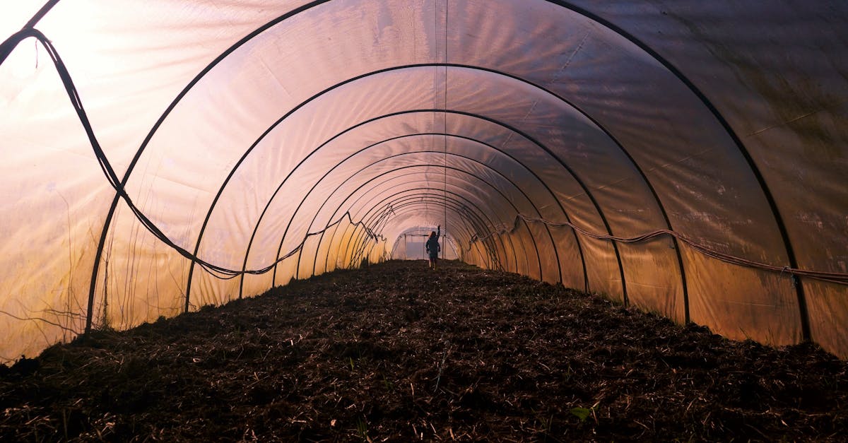 a person walking inside an empty greenhouse tunnel with a symmetrical structure highlighting agricu